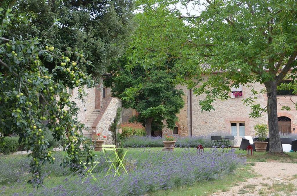 Agriturismo La Segolina Colle Val D'Elsa Ngoại thất bức ảnh