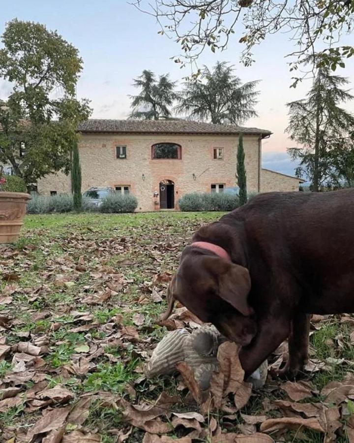Agriturismo La Segolina Colle Val D'Elsa Ngoại thất bức ảnh