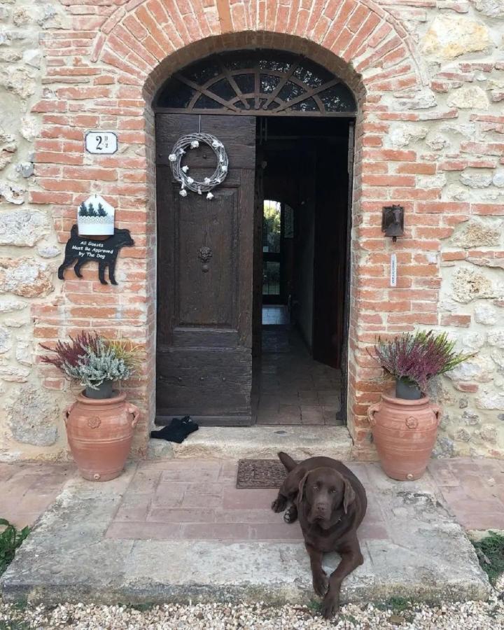 Agriturismo La Segolina Colle Val D'Elsa Ngoại thất bức ảnh