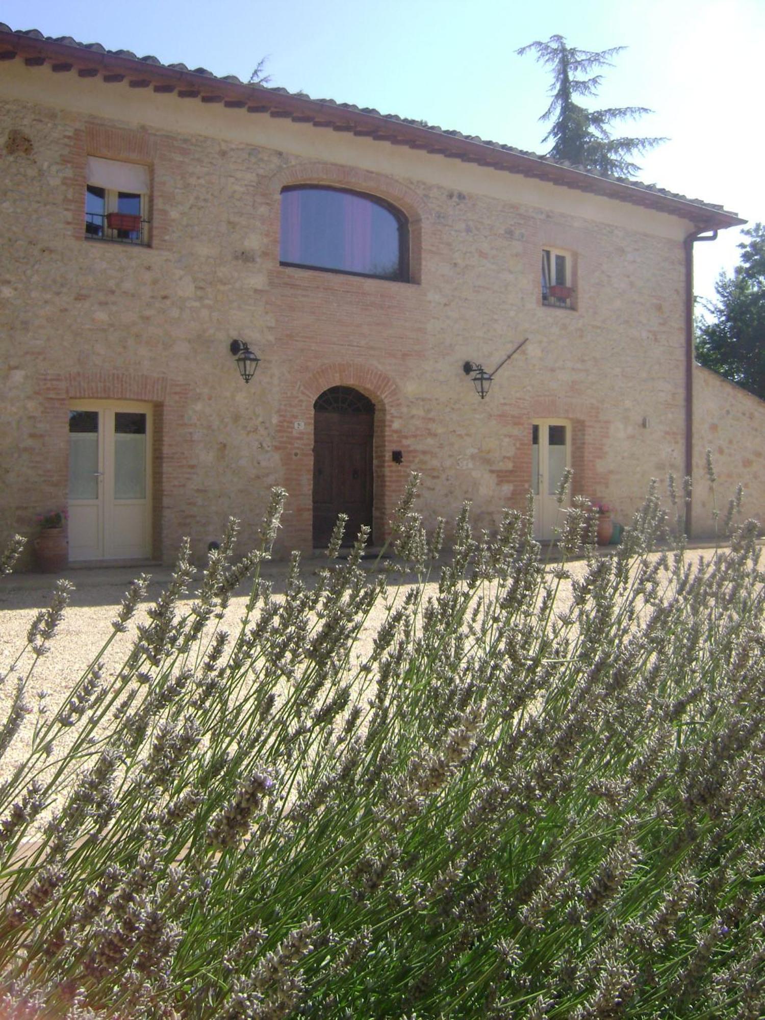 Agriturismo La Segolina Colle Val D'Elsa Ngoại thất bức ảnh