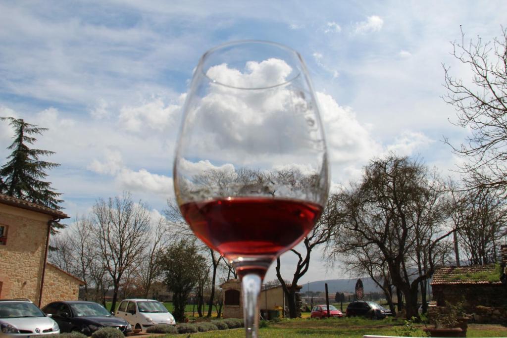 Agriturismo La Segolina Colle Val D'Elsa Ngoại thất bức ảnh