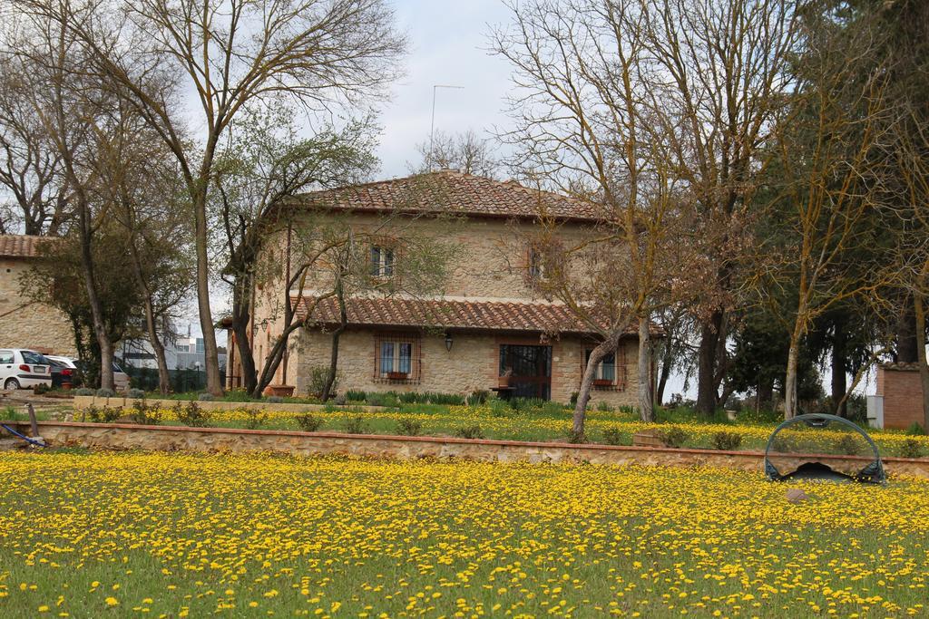 Agriturismo La Segolina Colle Val D'Elsa Ngoại thất bức ảnh
