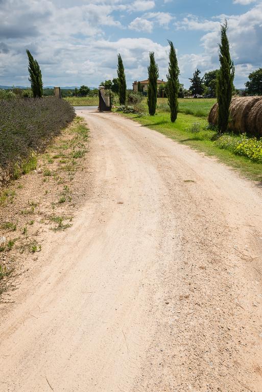 Agriturismo La Segolina Colle Val D'Elsa Ngoại thất bức ảnh