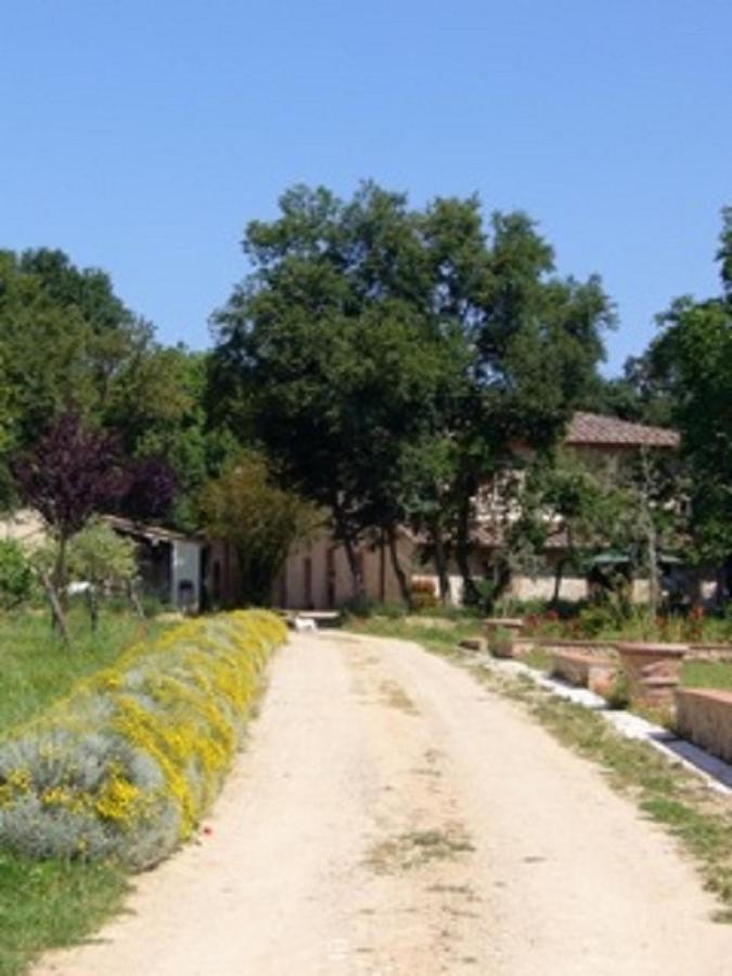 Agriturismo La Segolina Colle Val D'Elsa Ngoại thất bức ảnh